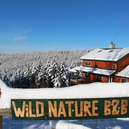Wild Nature B&B เคโลว์นา ภายนอก รูปภาพ