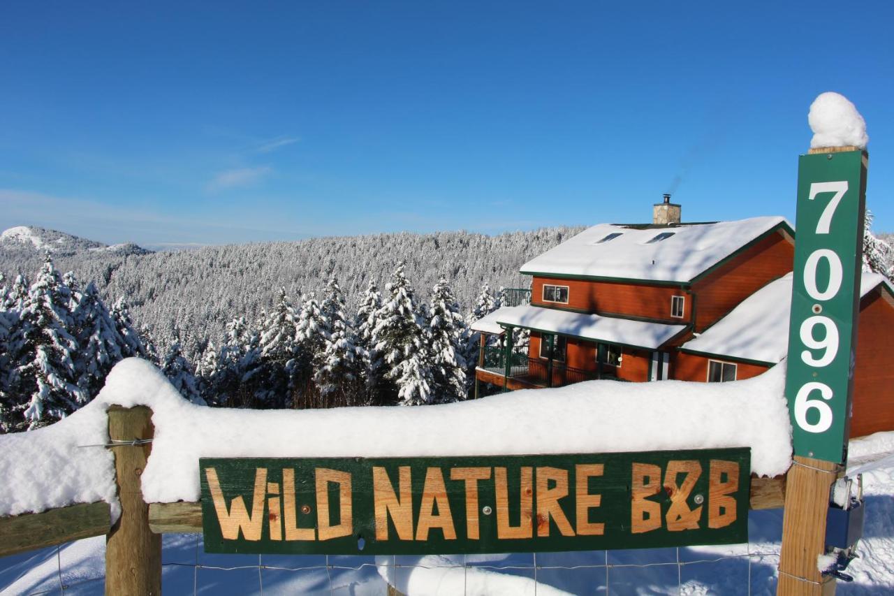 Wild Nature B&B เคโลว์นา ภายนอก รูปภาพ