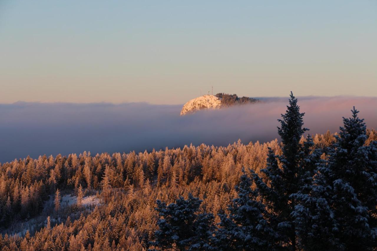 Wild Nature B&B เคโลว์นา ภายนอก รูปภาพ