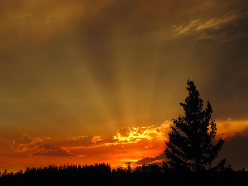 Wild Nature B&B เคโลว์นา ภายนอก รูปภาพ