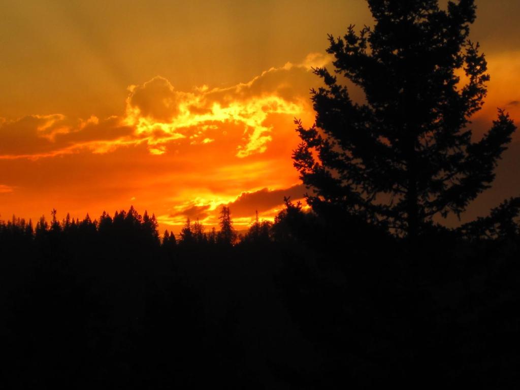 Wild Nature B&B เคโลว์นา ภายนอก รูปภาพ