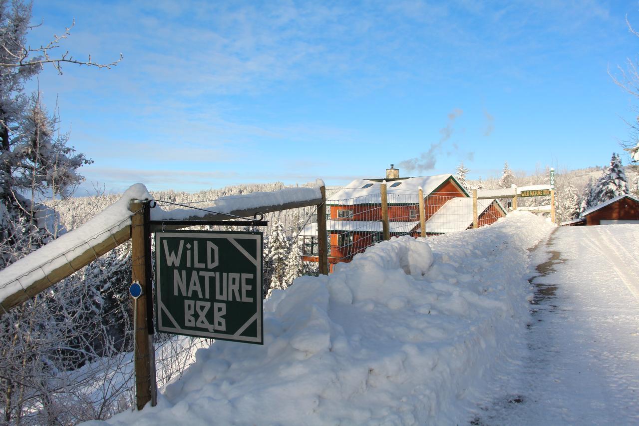 Wild Nature B&B เคโลว์นา ภายนอก รูปภาพ