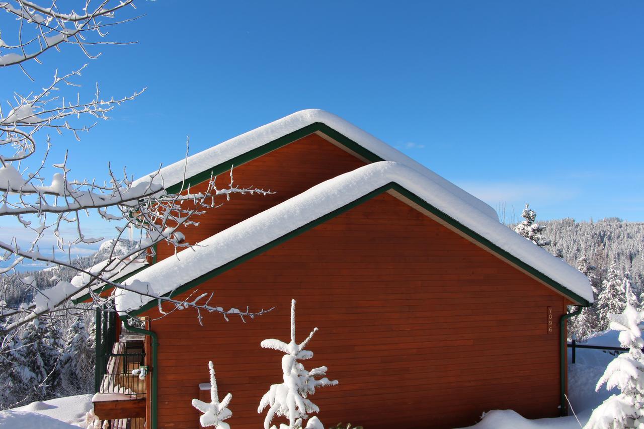 Wild Nature B&B เคโลว์นา ภายนอก รูปภาพ