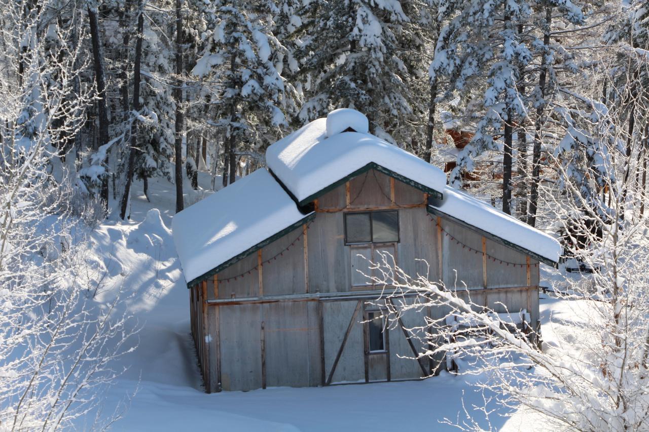 Wild Nature B&B เคโลว์นา ภายนอก รูปภาพ