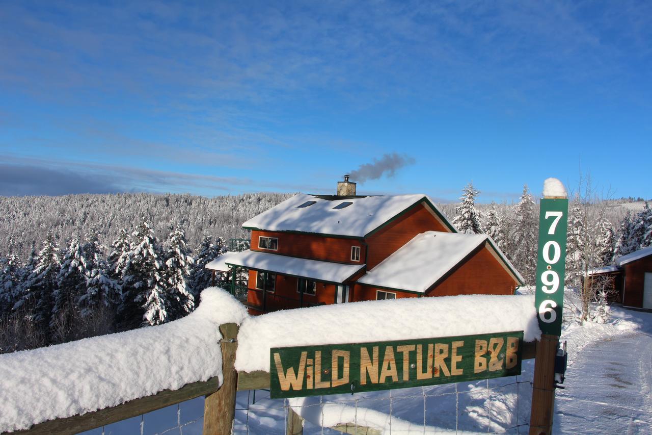 Wild Nature B&B เคโลว์นา ภายนอก รูปภาพ