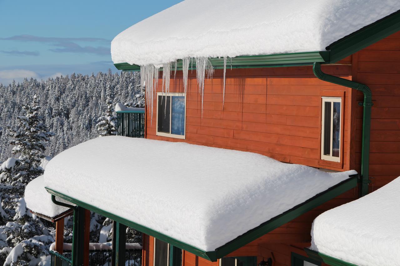 Wild Nature B&B เคโลว์นา ภายนอก รูปภาพ